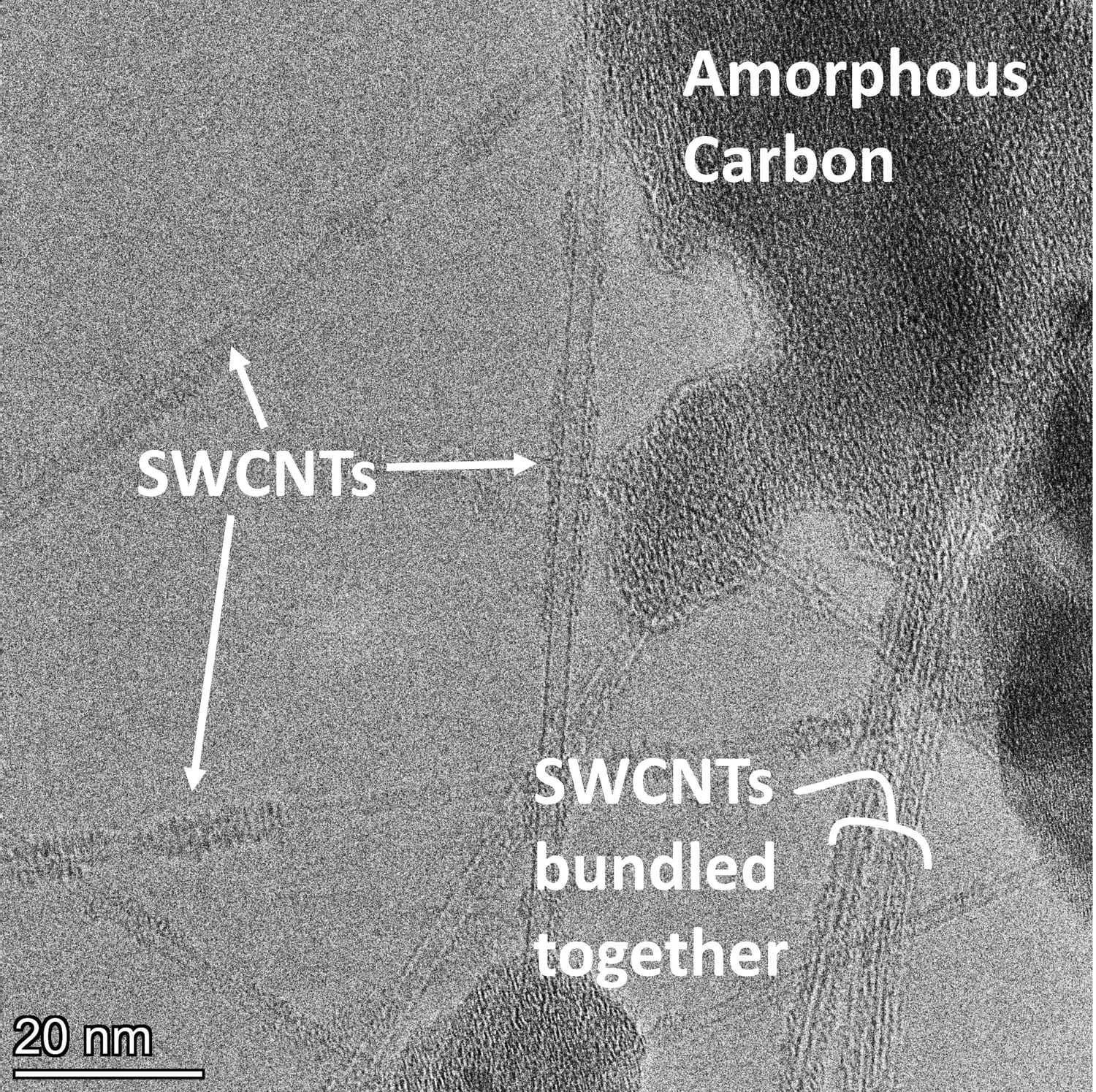 TEM micrograph showing single-walled carbon nanotubes, some bundled, against a region of amorphous carbon, with a 20 nm scale bar.